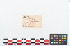 Etikett zu Bronzekugelkopfnadel (NHMW-PRAE-026028)
